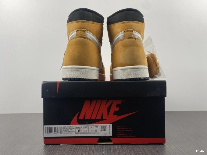 Bmlin Light Element DB2889-700 Jordan Curry High 1 Gore-Tex 0821